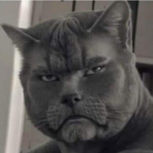 Meet your Posher, Rai